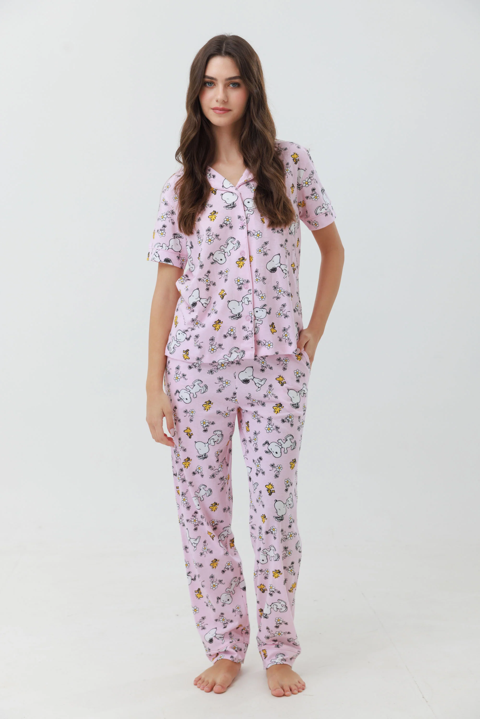 New Collection